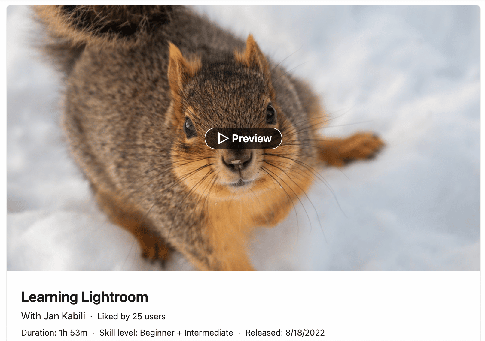 LinkedIn Learning Lightroom screenshot